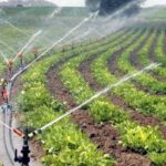 Basınçlı Sulama Kredisi Nedir, Nasıl Alınır?