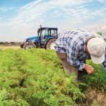 Sözleşmeli Tarım Kredisi Nedir, Nasıl Alınır?