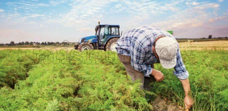 Sözleşmeli Tarım Kredisi Nedir, Nasıl Alınır? 2025 Sözleşmeli Tarım Kredisi Nedir, Nasıl Alınır?