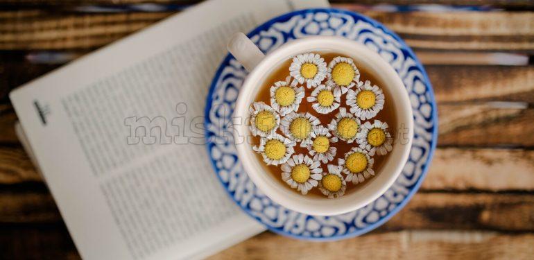 Bitkisel Çay Satarak Para Kazanma 2025 Bitkisel Çay Satarak Para Kazanma